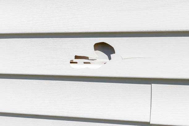Best Foreclosure Cleanout  in Watertown Town, MA